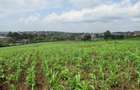 Land at Ngong Town - 13