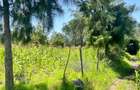 Land at Kandisi - 2