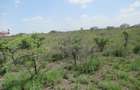 6.1 ac Land at Sabaki - 4