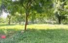 Land at Mtwapa - 17