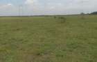 Land in Juja Farm - 1