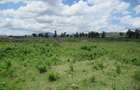 Land at Moi South L Ake Rd - 4