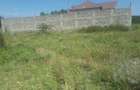 0.25 ac Residential Land in Ongata Rongai - 8