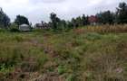 10,890 ac Land at Karen - 3