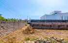0.25 ac Land at Mama Ngina Drive - 13