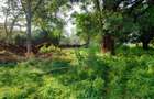 Residential Land at Karen - 4