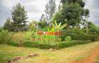 0.05 ha Residential Land in Kikuyu Town - 13