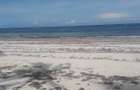 20 ac Land in Diani - 2