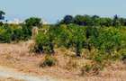Land in Vipingo - 2