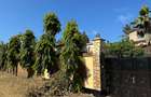 4 Bed House with En Suite in Shanzu - 10