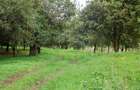 0.25 ac Residential Land at Gatanga Road - 8