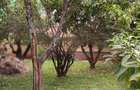 Residential Land at Parklands - 1