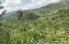 6.5 ac Land at Nandi Hills - 3