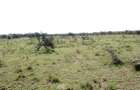 Land in Naivasha - 3