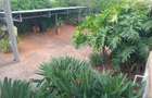 3 Bed House with En Suite in Runda - 5