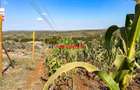 0.05 ha Residential Land at Kamangu - 10