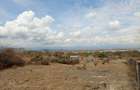 Commercial Land in Naivasha - 1