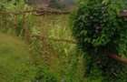 1.25 ac Land in Lavington - 8