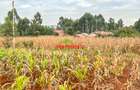 0.05 ha Residential Land in Kamangu - 3