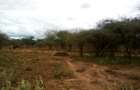 Land at Namanga Rd - 8