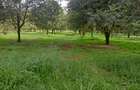 0.25 ac Land at Thika -Gatanga Road - 8