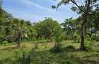 1.2 ac Land at Mtwapa Creekside - 4