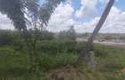 0.25 ac Land in Ruiru - 6
