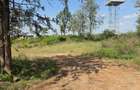 Residential Land in Ongata Rongai - 2