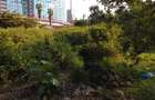 0.75 ac Land in Upper Hill - 2