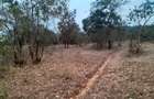 9 ac Land at Ithanga - 4