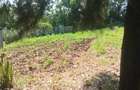 0.125 ac Land in Ngong - 4