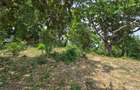 1.2 ac Land at Mtwapa Creekside - 11