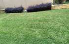 4 Bed Townhouse with En Suite in Lavington - 3