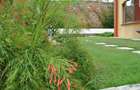 Serviced 4 Bed Apartment with En Suite at Sunset Paradise - Shanzu - 20