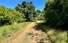 Land at Kuruwitu Beach Vipingo - 5