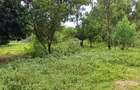 Land at Mtwapa - 18
