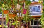 5 Bed House with En Suite at Mwananchi Road - 4