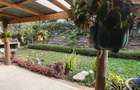 3 Bed House with Garden in Karen - 4