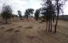 Land at Bisil - 16