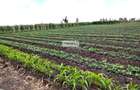 20 ac Commercial Land in Kisaju - 6