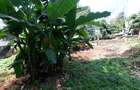 Residential Land at Riara Road - 13