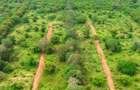 1,012 m² Residential Land at Kuruwitu Blue Green Estate Vipingo - 9