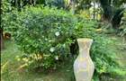 3 Bed Villa with Swimming Pool in Mtwapa - 7