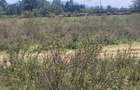 Land in Mai Mahiu - 5