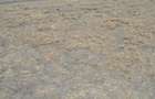 297 m² Residential Land in Utawala - 2
