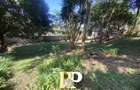 4 Bed House with Garden in Kyuna - 2