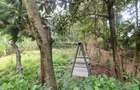 4 Bed House with En Suite in Karen - 9