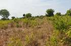 Land at Vipingo - 18