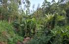 Land in Kitisuru - 3