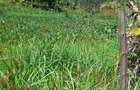 1.0 ac Land at Kandara Road - 11